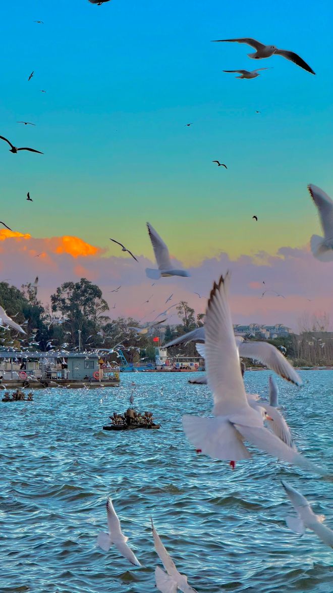 麻将胡了官网首次去云南旅游六天五晚要花多少钱云南6日游报团经典路线及费用(图3) 麻将胡了官网首次去云南旅游六天五晚要花多少钱云南6日游报团经典路线及费用(图3)